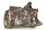 Sikhote-Alin Iron Meteorite Shrapnel ( g) - Russia #287720-1